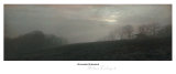 Landschaft in Bordeaux I Poster von Richard D'Amore