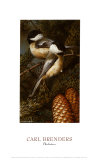 Chickadees Posters by Carl Brenders