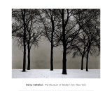 Chicago, 1950 Print by Harry Callahan