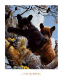 High Adventure Prints by Carl Brenders