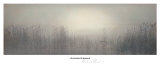 Roseaux bordelais Affiches par Richard D'Amore