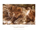 Pick of the Pack Posters by Carl Brenders