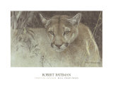 Tropical Cougar Posters by Robert Bateman