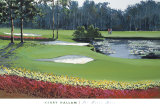 The Final Hole Prints by Kerry Hallam