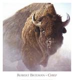 Chief Posters van Robert Bateman Chief Posters van Robert Bateman