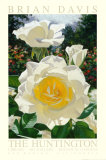 Le jardin de roses d'Huntington  Art par Brian Davis