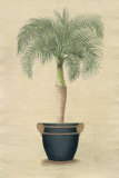 Palmier souverain II Affiches par Iksel 