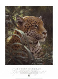 Symbol of the Rainforest Posters by Robert Bateman