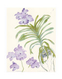 Orchid Blue Vanda Poster by Elizabeth Blackadder Orchid Blue Vanda Poster by Elizabeth Blackadder