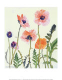 Oriental Poppies プリント - ローレンス・ブラックアダー Oriental Poppies プリント - ローレンス・ブラックアダー