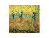 Pollarded Willow and Sunset Prints by Vincent van Gogh