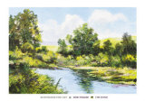 The Pond Prints by Trager 