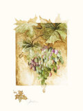 Grapes I Prints by Elizabeth Jardine