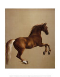 Whistlejacket Art par George Stubbs