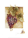 Grapes II Print by Elizabeth Jardine