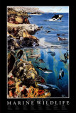 North American Marine Wildlife Kunst