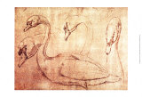 Sepia Swan Study Posters by Jean-Baptiste Oudry