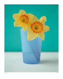 Jonquilles Art par Masao Ota