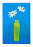Deux marguerites dans un vase jaune Posters par Masao Ota