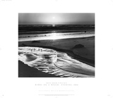 Birds on a Beach Posters van Ansel Adams Birds on a Beach Posters van Ansel Adams