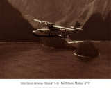 Inter-Island Airways, Sikorsky S-43, côte nord, Molokai, Hawaii, 1936 Posters