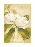 Magnolia Art by Meg Page
