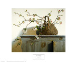 Apple Blossoms Prints by Pauline Eblé Campanelli