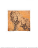 Lion Poster by Peter Paul Rubens