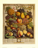 Fruits of the Season, Winter Art by Robert Furber