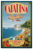 Catalina by Air Reprodukcje autor Kerne Erickson Catalina by Air Reprodukcje autor Kerne Erickson