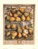 Fruits of the Season, Spring Posters par Robert Furber