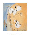 Cygnes Art par Lindsay Kelsall