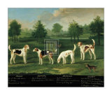 Two Couples of Hounds in a Park Prints by Francis Sartorius