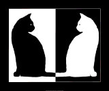 Black and White Cats Kunst Black and White Cats Kunst