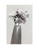Roses Posters par Lilo Raymond