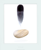 Pluma y piedra Póster Pluma y piedra Póster