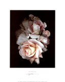 Promises Prints by S. G. Rose