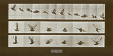 Vogel Láminas por Eadweard Muybridge Vogel Láminas por Eadweard Muybridge