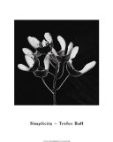 Simplicity Poster by Trefor Ball