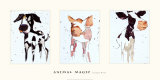Animal Magic Poster by Kate Moore