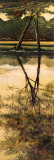 Reflections of Autumn I Posters by Robert Holman