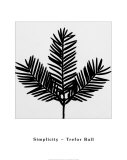 Simplicity Posters by Trefor Ball