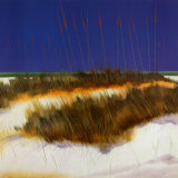 Dunes Pôsters por Robert Holman Dunes Pôsters por Robert Holman