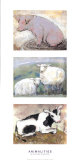 Animali Stampe di Silvana Crefcoeur Animali Stampe di Silvana Crefcoeur