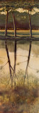 Reflections of Autumn II Posters by Robert Holman