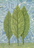 La belle saison Affiche par Rene Magritte