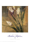 Brilliant Reflections IV Prints by Jennifer Hollack