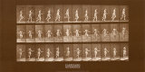 Woman Skipping Rope Print by Eadweard Muybridge