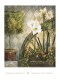 Hidden Grace II Art by Dennis Carney