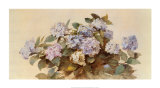 Hydrangeas Posters by Madeleine Lemaire